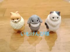 虚無。参 ロップイヤー　ポメラニアン　ボスネコ