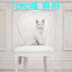 SISTER Jenniのキャップのサムネイル