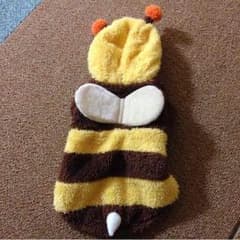 ワンちゃん服のサムネイル