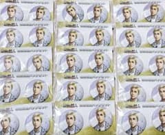 限定出品】進撃の巨人 和紙風缶バッジセット エルヴィン 花束ver. 30個