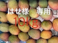 はせ様専用　訳ありマンゴーのサムネイル