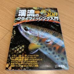 渓流のフライフィッシング入門Q&A 100のサムネイル