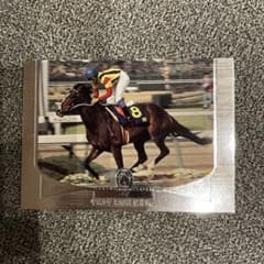 サラブレッドカード　300枚くらい　JRA　キラあり　ナリタブライアン　競馬のサムネイル