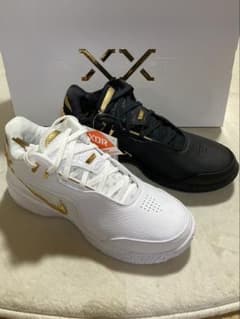 Nike レブロン NXXT Gen AHPD EP 新品 - メルカリ
