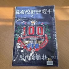 第100回全国高校野球選手権記念大会タオルセット 甲子園】第100回全国高校野球選手権記念大会 スポーツタオル - メルカリ