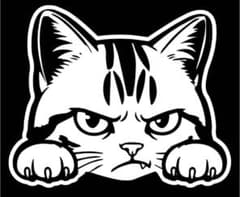 猫 ステッカー 猫　猫まっしぐら　ステッカー　デカールのサムネイル