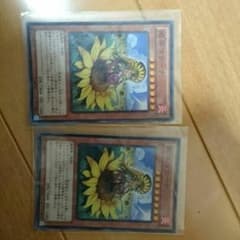 ひまりマリーナのサムネイル