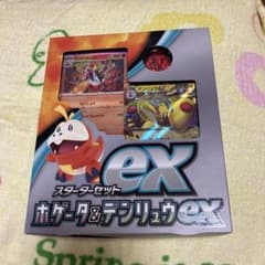 ポケモンカード スターターセットex ホゲータ＆デンリュウex - メルカリ