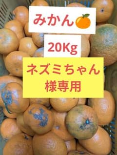 みかん 20Kg ネズミちゃん様専用 - メルカリ