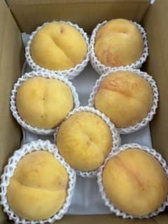 51沖縄クール便福島産朝採り硬め黄金桃 マンゴーピーチ箱込み2.8kg*4家庭用 926.福島産 朝採り完熟黄金桃 マンゴーピーチ箱込み2.8kg家庭用訳あり