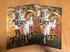 ◇非売品◇阪神タイガース◇クリアファイル◇2枚セット◇ - メルカリ