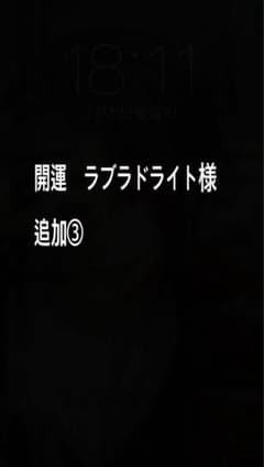 開運　ラブラドライト様のサムネイル