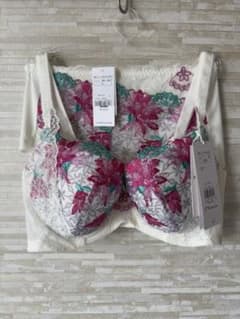 E75L」トリンプ レッドレーベル天使のブラ スリムライン月光の女王ブラ