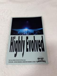go!go!vanillasバニラズ 写真集『Highly Evolved』のサムネイル
