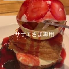 サザエさま専用出品のサムネイル