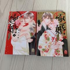 極婚　1〜2巻　　桜井真優のサムネイル