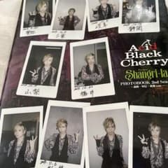 Acid Black Cherry 写真集のサムネイル