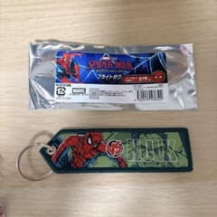 MARVEL 스파이더맨 브랜드 뉴데이 비행 태그 헐크