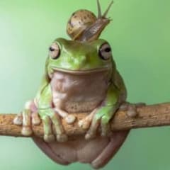 遊戯王 シラユキ まろん様専用のサムネイル