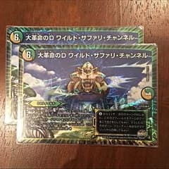 大革命のD ワイルドサファリチャンネルのサムネイル