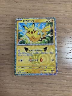 ピカチュウ エナジーテール 30thのサムネイル