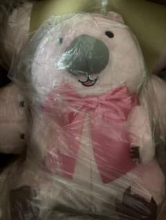 防衛部　ウォンバット　ぬいぐるみ