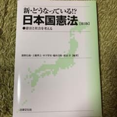 新・どうなっている!?日本国憲法 : 憲法と社会を考えるのサムネイル