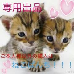 pentec様専用のサムネイル