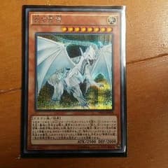 遊戯王　白き霊龍のサムネイル