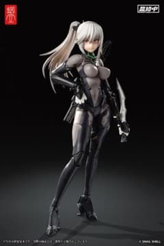 ☆新品☆ ASSASSIN アサシン 1/12 完成品アクションフィギュア