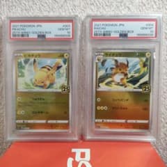 【PSA10】ピカチュウ ライチュウ 25th Classic 2連　③のサムネイル