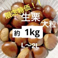限定特価！栃木県産　無農薬　生栗　約1kg(箱の重さ込み) 栗ご飯などにのサムネイル