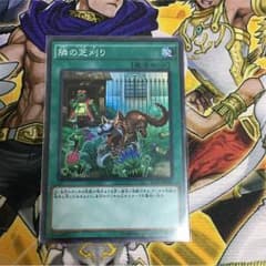 隣の芝刈りのサムネイル