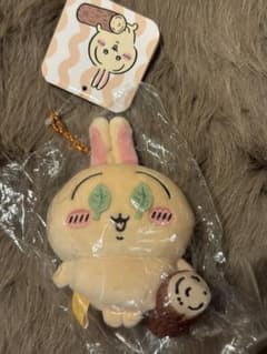 Chiikawa: Is this watermelon smashing...? Mascot (rabbit)