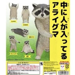 中に人が入ってるアライグマ フィギュアセットのサムネイル