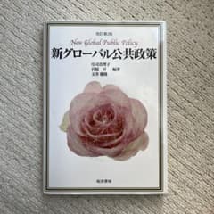 新グローバル公共政策 改訂第2版のサムネイル