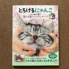 とろけるにゃんこ 心と体が整う猫ツボ＆リンパマッサージのサムネイル