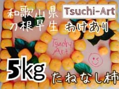 119 わけあり 5㎏ 刀根早生 たねなし柿 和歌山県 紀の川市のサムネイル