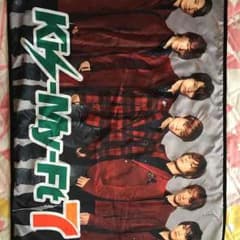 大胡田聖奈様 専用  ブランケットのサムネイル