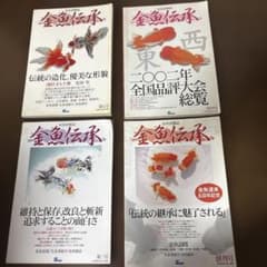 最新 金魚飼育大全 金魚春秋のサムネイル