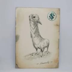 m83593504900_1.jpg?1739018906