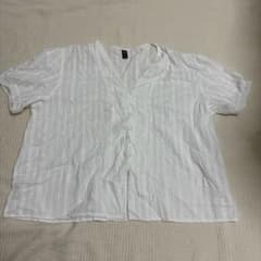 【大きいサイズ】2XL アイボリー ブラウス 半袖 Vネック レース袖のサムネイル