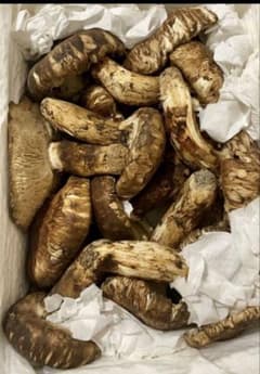 大特価！中国産松茸約1kg PA/PB/PC＜開き方・大きさおまかせ 規格外