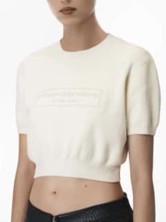 超美品　alexanderwang 半袖 ニット トップス ホワイト XS 超美品 alexanderwang 半袖 ニット トップス ホワイト XS - メルカリ