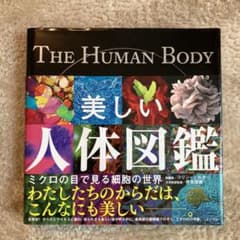 美しい人体図鑑 ミクロの目で見る細胞の世界のサムネイル