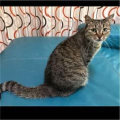 夏様専用のサムネイル