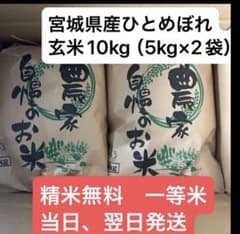 玄米10kg（5kg×2袋） 精米無料 即購入可令和7年宮城県産ひとめぼれ一等