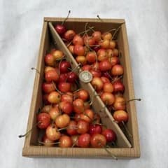 11本日収穫最終日　山形県産　さくらんぼ　1kg 紅秀峰　Lサイズ以上　訳あり品のサムネイル