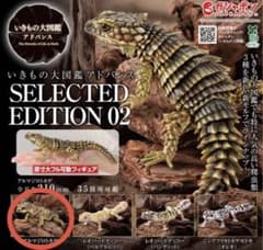 いきもの大図鑑アドバンス アルマジロトカゲ - メルカリ