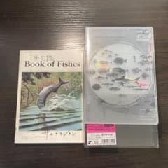 魚図鑑　サカナクションのサムネイル